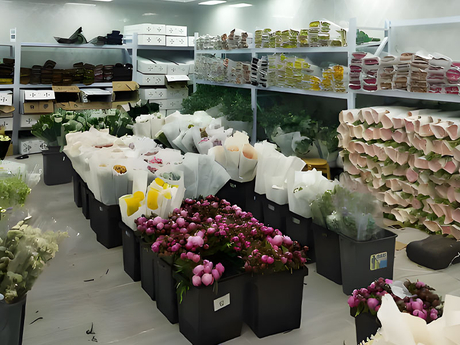 Flower-cold-storage.2.jpg