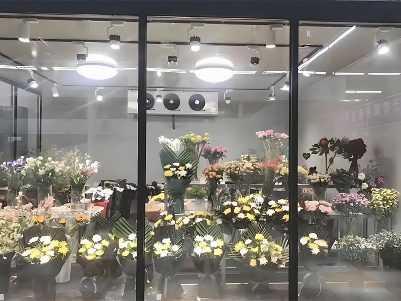 How to Choose the Right Cold Room for Your Business