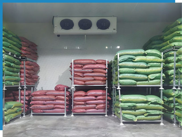 precise temperature control chemical cold storage