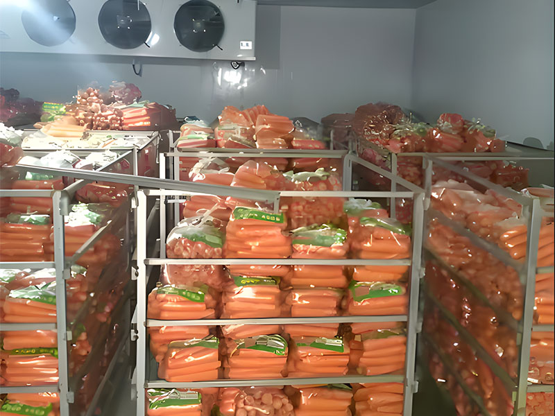 vegetable-cold-storage.1