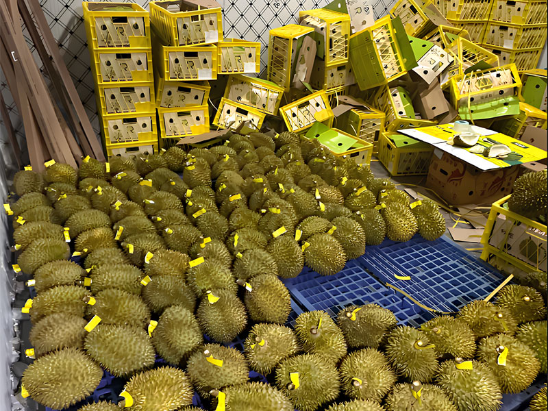 Fruit-and-vegetable-cold-storage.3