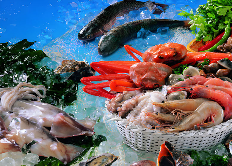 Seafood-cold-storage.2