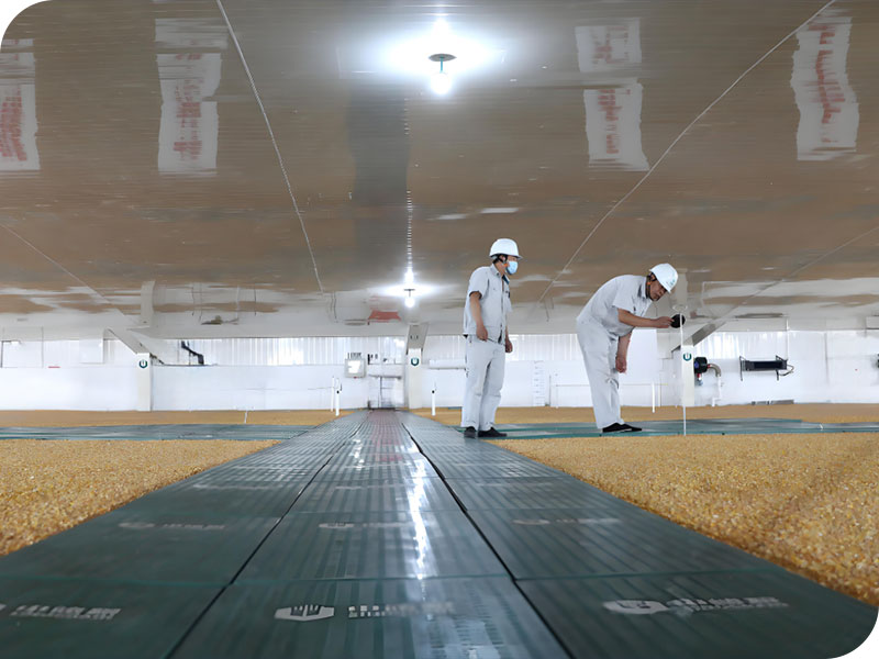 Cold Storage Agriculture 