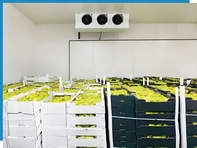 Cold storage Food-Industry.2