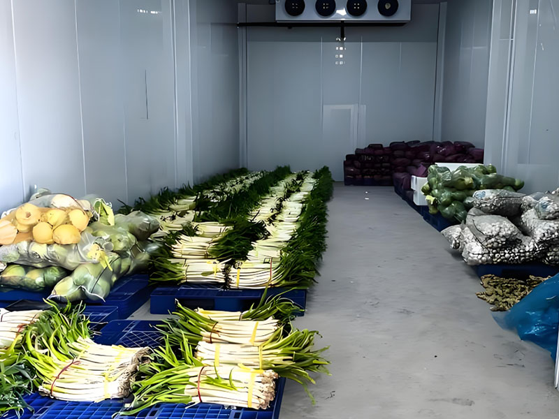 vegetable-cold-storage.2