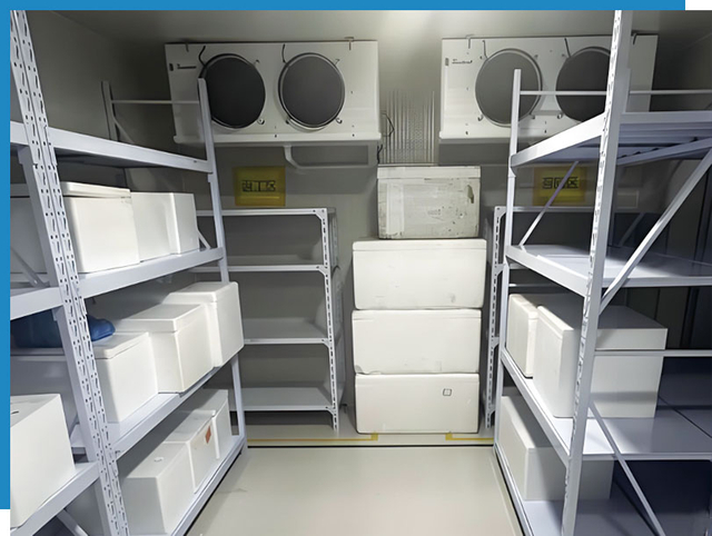 chemical cold storage